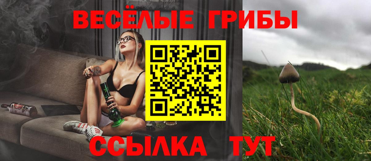 Псилоцибиновые грибы Psilocybine cubensis  Вход с VPN  Москва 